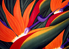 Strelitzias, 1,00 x 1,40 m, 2001.